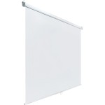 Экран Lumien Eco Picture LEP-100103 (настенно-потолочный, 111