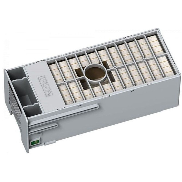 Epson C13T699700