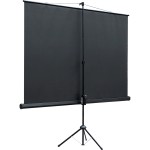 Экран Lumien Eco View LEV-100111 (напольный, 97