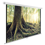 Экран Cactus WallExpert CS-PSWE-220X220-WT (настенно-потолочный, 122,49