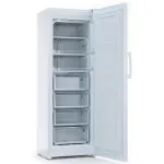 Морозильная камера Indesit DSZ 5175 (объем :261л)