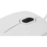 Мышь Logitech B100 White USB (кнопок 3, 800dpi)