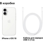 Apple iPhone 16 (6,1