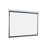 Экран Lumien Eco Picture LEP-100114 (настенно-потолочный, 116