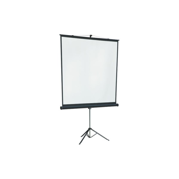 Экран Lumien Master View LMV-100109 (напольный, 109