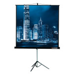 Экран Lumien Master View LMV-100106 (переносной, 81