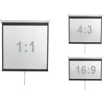 Экран Digis Optimal-D DSOD-1108 (настенно-потолочный, 167