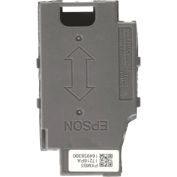 Epson C13T295000