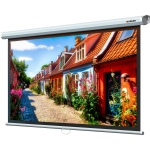 Экран Lumien Eco Picture LEP-100117 (настенно-потолочный, 88