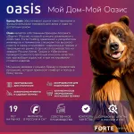 Водонагреватель Oasis Standart EcoER-30