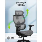 Кресло Cactus CS-MC555-GY