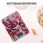Кухлнные весы STARWIND SSK3354/3358