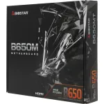 Материнская плата Biostar B650MT (x)