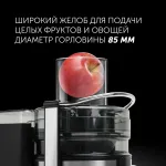 Соковыжималка Polaris PEA 1535AL