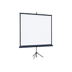 Экран Lumien Eco View LEV-100108 (напольный, 109