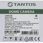 Камера видеонаблюдения Tantos 00-00156688 (аналоговая, внутренняя, сферическая, 2Мп, 2.8-2.8мм, 1920x1080, 25кадр/с)