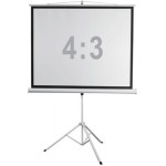 Экран Digis Kontur-D DSKD-4302 (напольный, 86