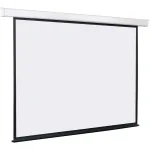 Экран Lumien Master Control LMC-100109 (настенно-потолочный, 116