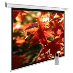 Экран Cactus SIlverMotoExpert CS-PSSME-200X150-WT (настенно-потолочный, 98