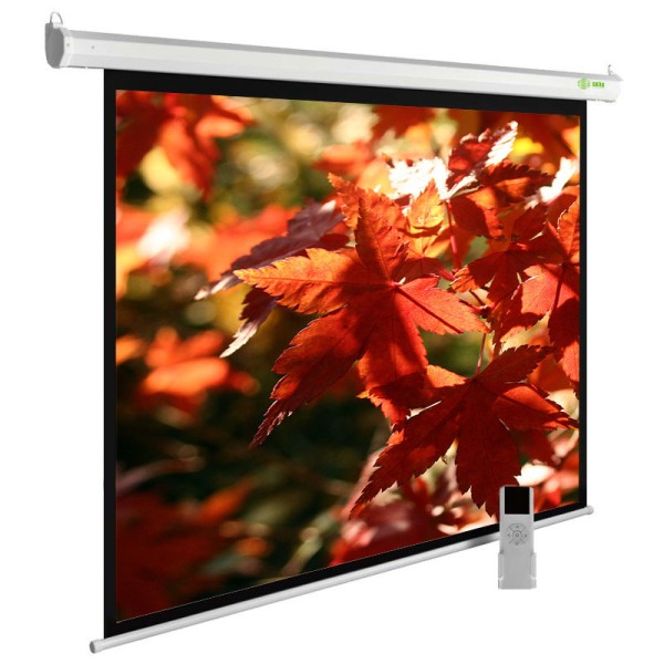 Экран Cactus SIlverMotoExpert CS-PSSME-200X150-WT (настенно-потолочный, 98