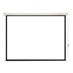 Экран Lumien Eco Control LEC-100107 (настенно-потолочный, 116