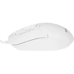 Мышь A4Tech Fstyler FM12 (1200dpi)