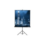 Экран Lumien Master View LMV-100102 (напольный, 82