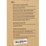 LED-телевизор Telefunken TF-LED24S91T2(черный) (24
