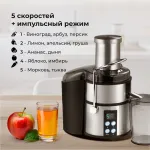 Соковыжималка Galaxy Line GL 0808