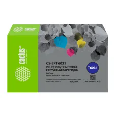 Cactus CS-EPT6031 (фото черный; 220стр; Stylus PRO 7880, 9880)