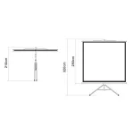 Экран Digis Kontur-D DSKD-1108 (напольный, 135