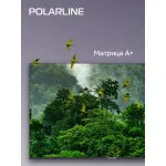 LED-телевизор Polarline 50PU11TC-SM (50