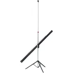 Экран Lumien Master View LMV-100105 (напольный, 131
