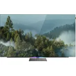 OLED-телевизор Skyworth 55SXF9850 (55