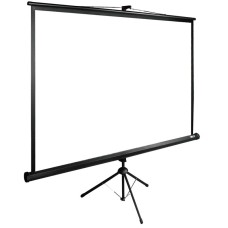 Экран Cactus TriExpert CS-PSTE-220Х165-BK (напольный, 108