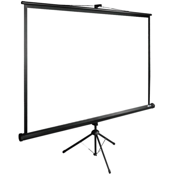 Экран Cactus TriExpert CS-PSTE-220Х165-BK (напольный, 108