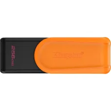 Накопитель USB Kingston DTXS/256GB