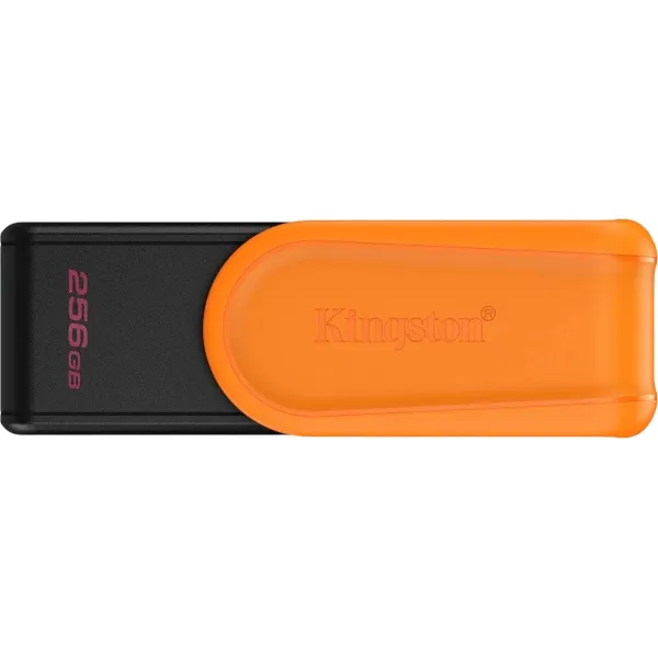 Накопитель USB Kingston DTXS/256GB