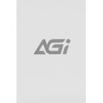 Жесткий диск SSD AGI ED138 (554/481 Мб/с, 149557 IOPS)