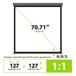Экран Cactus Wallscreen CS-PSW-127X127-SG (настенно-потолочный, 71