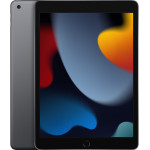 Планшет Apple iPad (2021) A2602 256Gb Wi-Fi(10.2