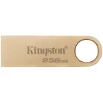 Накопитель USB Kingston DTSE9G3/256GB