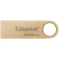 Накопитель USB Kingston DTSE9G3/256GB [DTSE9G3/256GB]