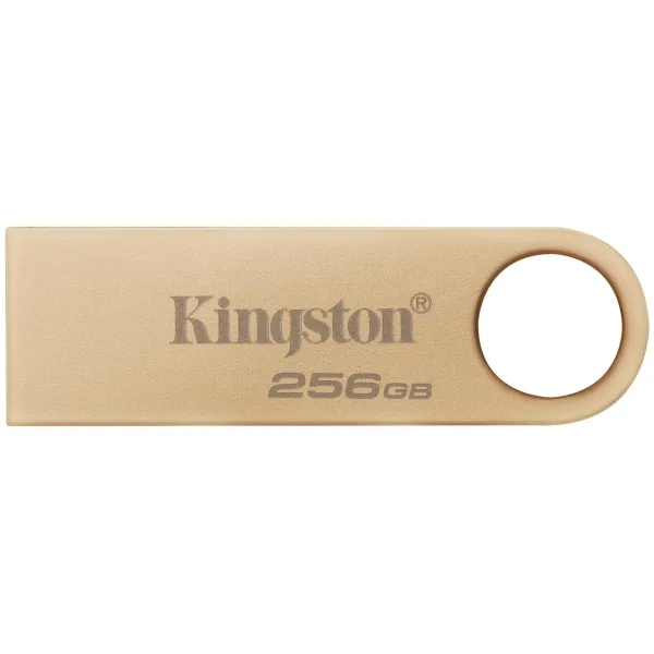 Накопитель USB Kingston DTSE9G3/256GB