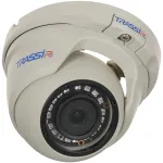 Камера видеонаблюдения Trassir TR-D4S5 v2 (IP, купольная, уличная, 4Мп, 2.8-2.8мм, 2560x1440, 25кадр/с)
