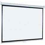 Экран Lumien Eco Picture LEP-100114 (настенно-потолочный, 116