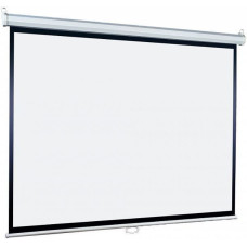 Экран Lumien Eco Picture LEP-100114 (настенно-потолочный, 116