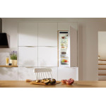 Холодильник полностью встраиваемый Gorenje NRKI4182A1 (A++, 540x1772x545см)