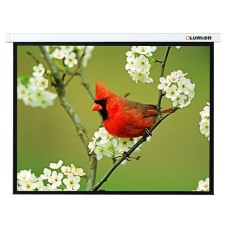 Экран Lumien Master Picture LMP-100108 (настенно-потолочный, 81