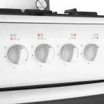 Плита газовая Darina 1B1 GM 441 018 W